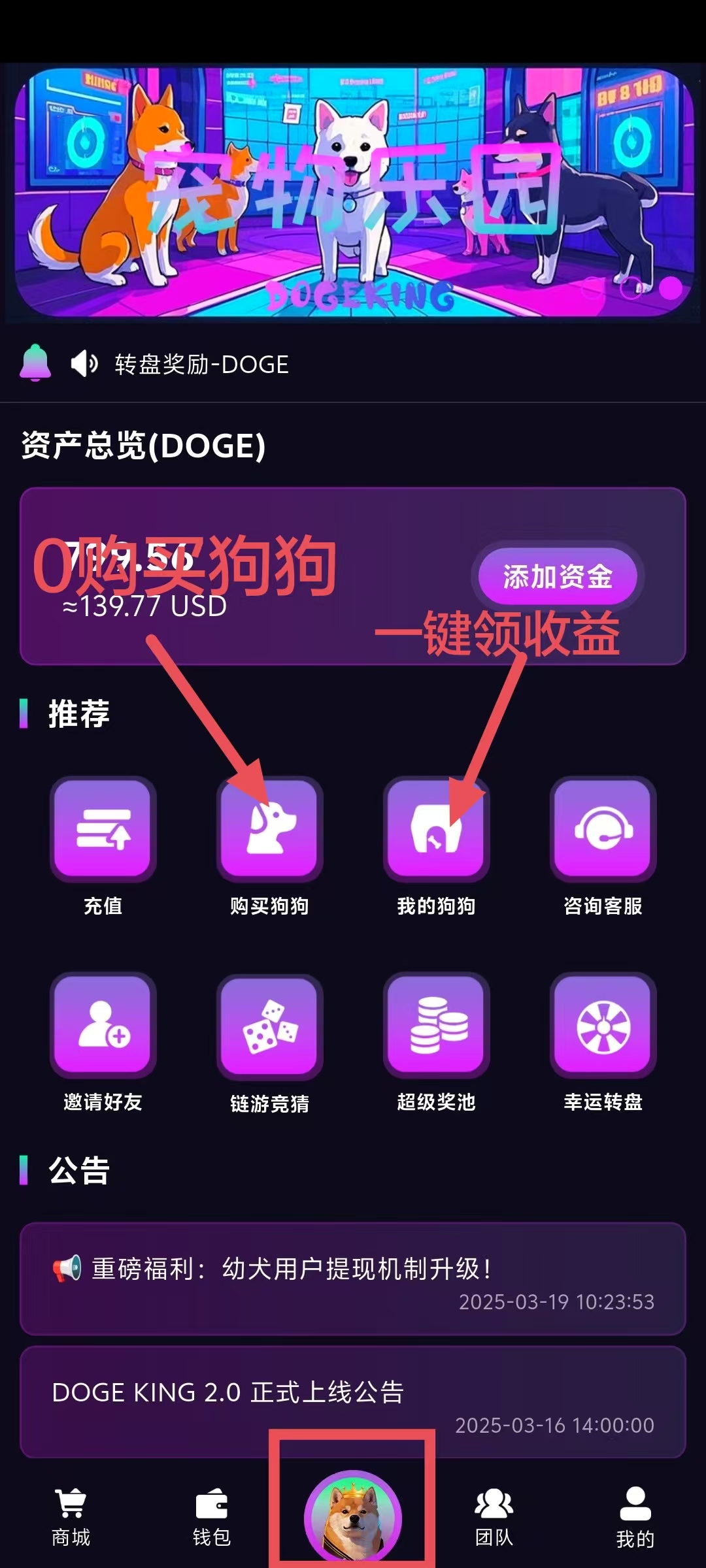 DOGE-King首码，零撸每日一键领收益(3)