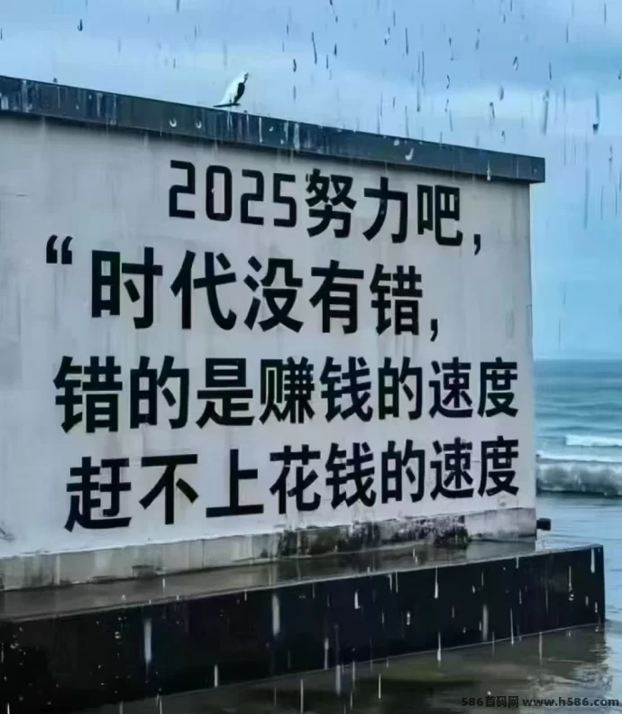 闲赚无忧：新项目上线，每日5分钟轻松收溢！(3)