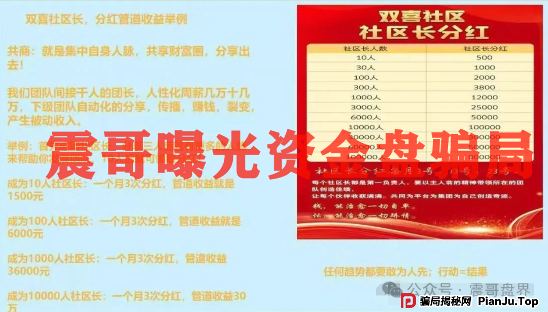 双喜社区彩票资金盘骗局!已经单割,即将崩盘跑路(9) 双喜社区彩票资金盘骗局!已经单割,即将崩盘跑路(9)