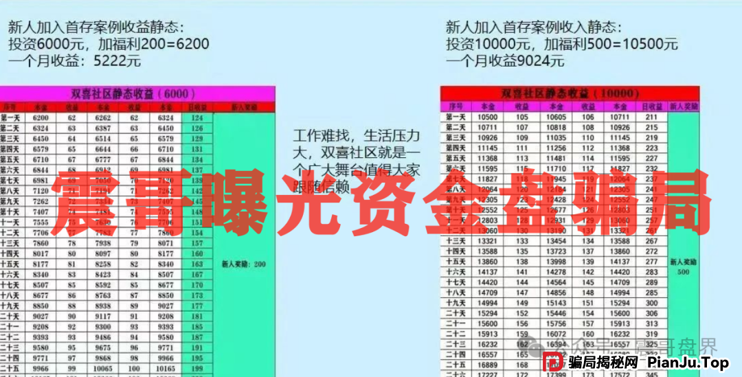 双喜社区彩票资金盘骗局!已经单割,即将崩盘跑路(8) 双喜社区彩票资金盘骗局!已经单割,即将崩盘跑路(8)