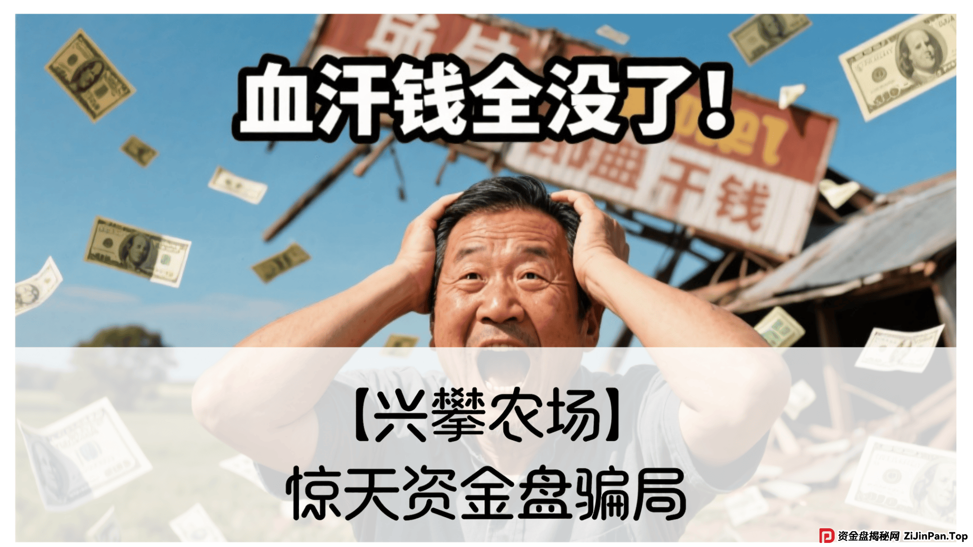 【兴攀农场】惊天骗局:震哥带你拆穿“数字助农”的画皮 (1) 【兴攀农场】惊天骗局:震哥带你拆穿“数字助农”的画皮 (1)