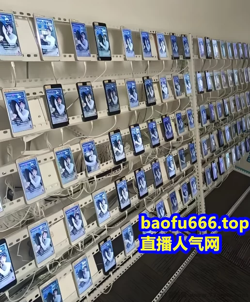 快速提升直播人气与变现！自媒体数据包装工具大揭秘(1)