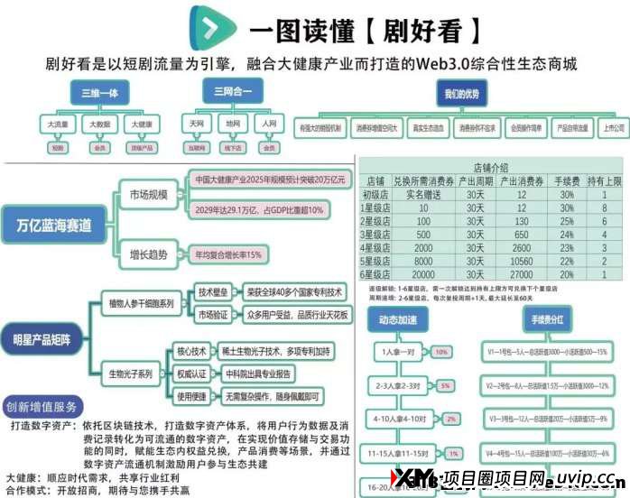2025黑马项目！凤凰潮等升级版，综合性生态平台引领创新潮流(4)